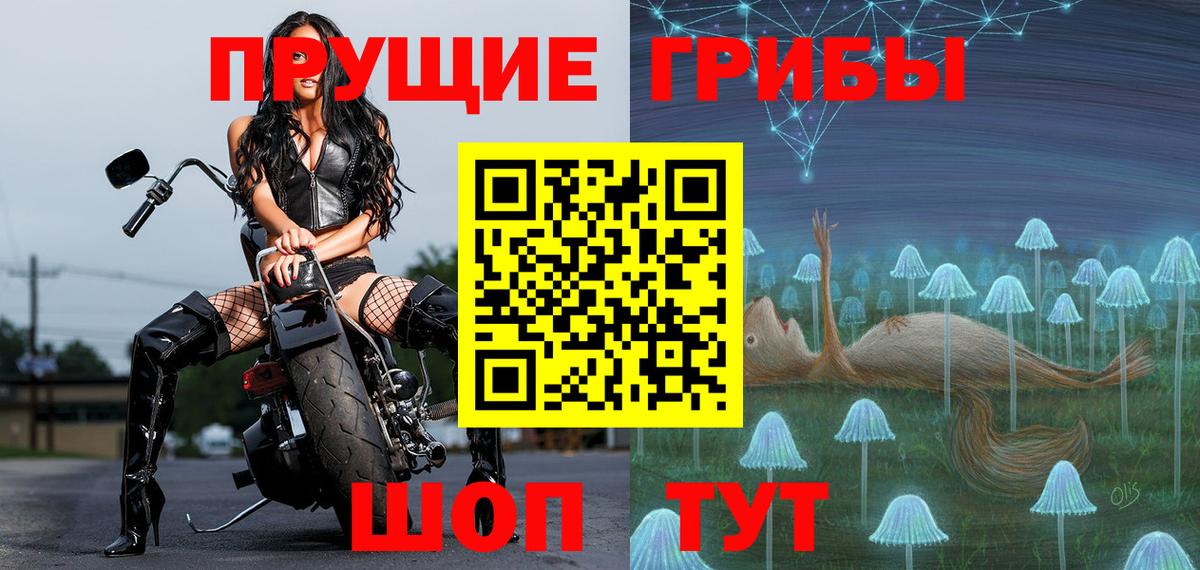 Рубцовск  Псилоцибиновые грибы Psilocybe  Вход с VPN 